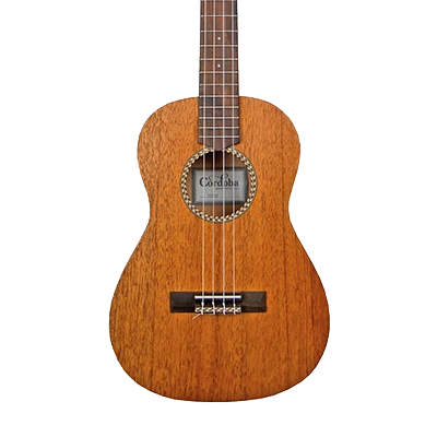 Ukulele